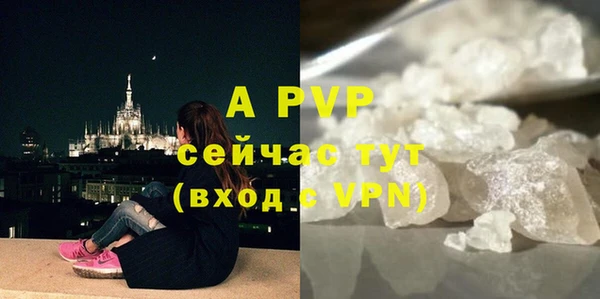 сатива Аркадак