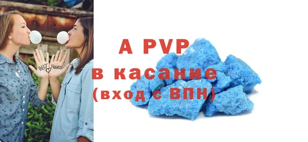 сатива Аркадак