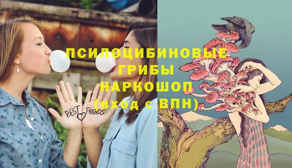 бутират Арсеньев