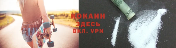 сатива Аркадак