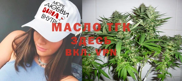 сатива Аркадак